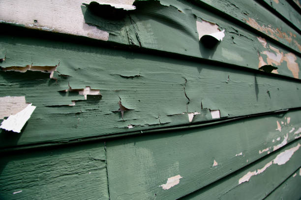 Affordable Siding Repair and Maintenance Services in Marion Oaks, FL